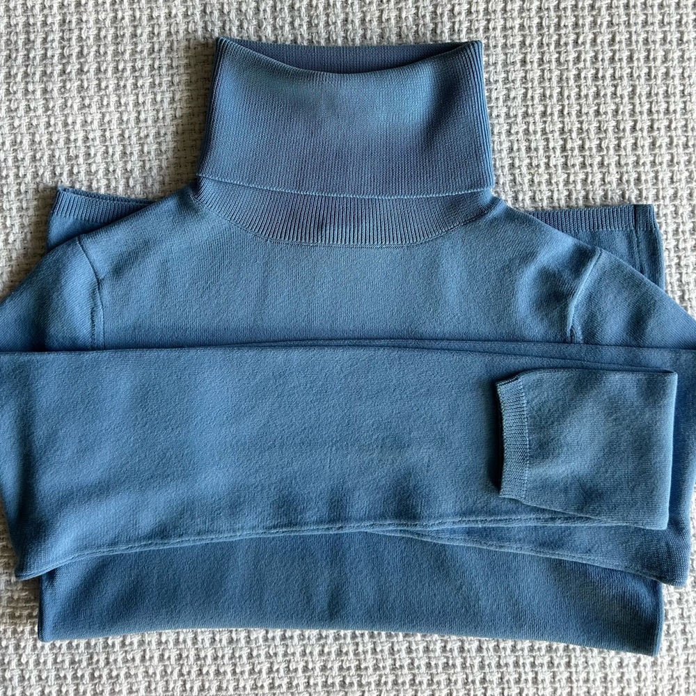 DKNY Argentinen Blue Turtleneck Petite